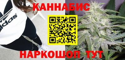 стаф Севастополь
