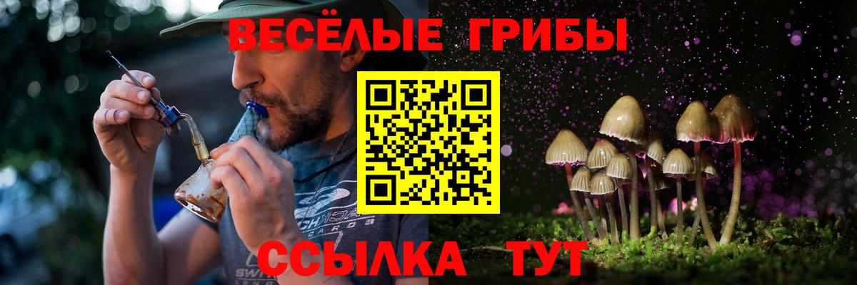 Острогожск  наркота  Вход с VPN  Галлюциногенные грибы MAGIC MUSHROOMS 